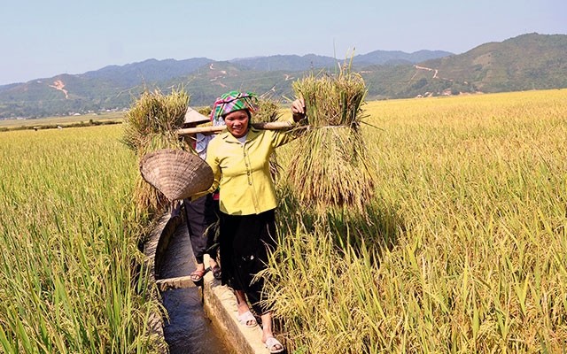 The national multidimensional poverty line in the 2021-25 period will also serve as the basis for making policies, mechanisms and solutions to achieve multidimensional, inclusive and sustainable poverty reduction. — Photo hoilhpn.org.vn