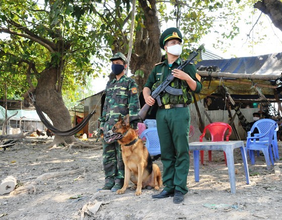Vietnam reports three imported Covid-19 cases, Chi Linh Town lifts lockdown ảnh 1 Vietnam reports three imported Covid-19 cases, Chi Linh Town lifts lockdown ảnh 1