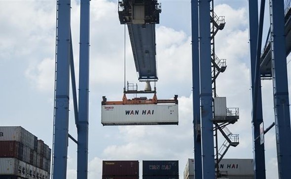 Vietnam-Brazil trade growing: official ảnh 1 Vietnam-Brazil trade growing: official ảnh 1