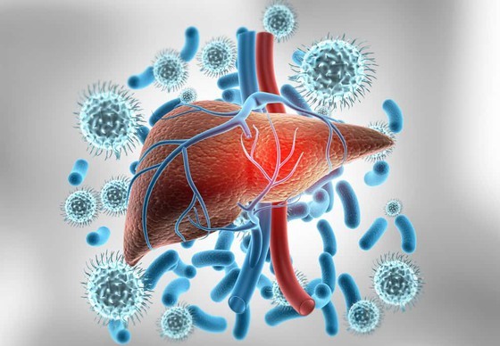 Ministry orders close supervision at border gates to detect acute hepatitis case ảnh 1 Ministry orders close supervision at border gates to detect acute hepatitis case ảnh 1