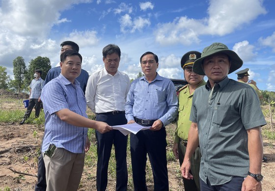 Phu Quoc administrators issue tough penalties on forest land intruders