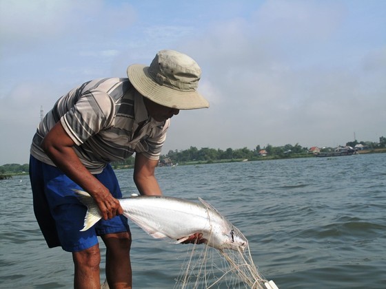 Developing river economy in Mekong Delta should be focused: Experts ảnh 2 Developing river economy in Mekong Delta should be focused: Experts ảnh 2