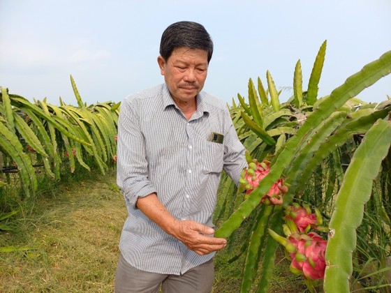 Gov’t strengthens support for farmers in Mekong Delta to use machines ảnh 1 Gov’t strengthens support for farmers in Mekong Delta to use machines ảnh 1