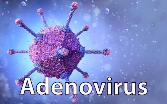 Binh Thuan health sector denies 8 Adenovirus cases ảnh 1 Binh Thuan health sector denies 8 Adenovirus cases ảnh 1