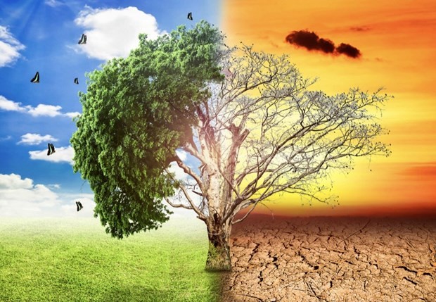 Vietnam calls for comprehensive approach in addressing climate change challenges ảnh 1 Vietnam calls for comprehensive approach in addressing climate change challenges ảnh 1