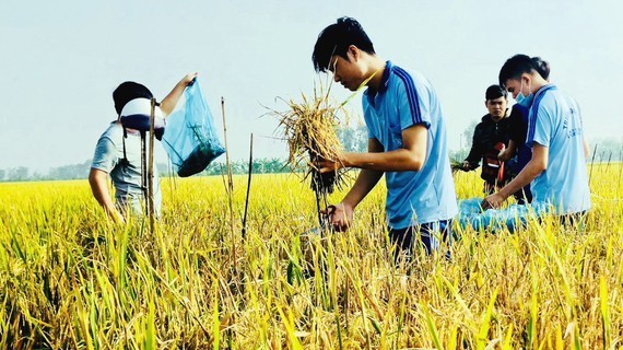 Human resource training crucial to pushing VN into top agricultural producer ảnh 1 Human resource training crucial to pushing VN into top agricultural producer ảnh 1