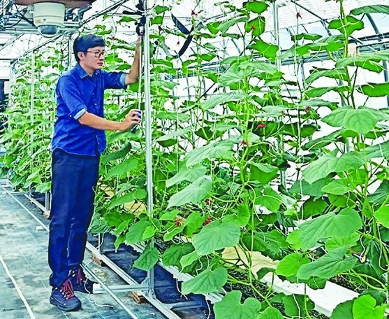 Pham Thanh Dong Pham Thanh Dong