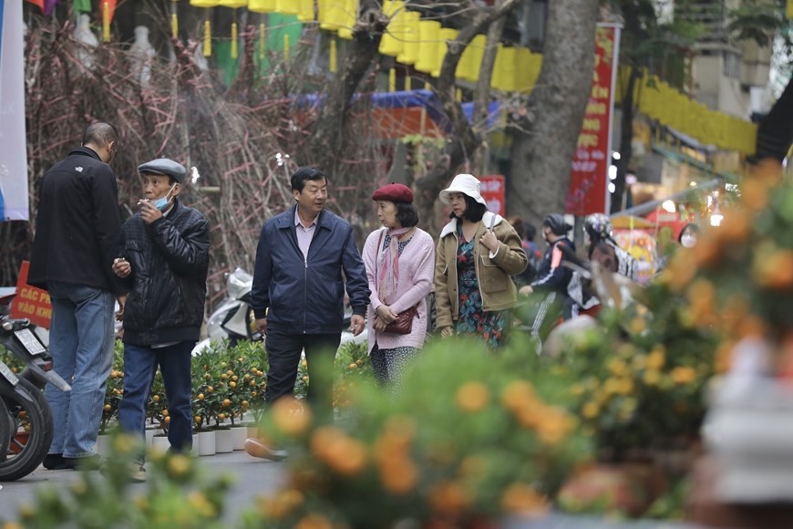 Hang Luoc is one of the most popular flower markets in Hanoi and opens just once a year for the country’s biggest holiday. People flock to the market to shop for fresh flowers, ornamental plants, and Tet decorations. (Photo: VNA)