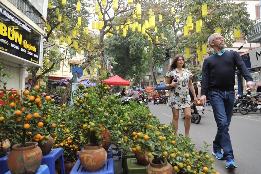 Kumquat trees line the street. The trees symbolise prosperity as they are always laden with fruit. (Photo: VNA)
