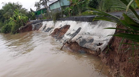 Landslides in Mekong Delta increasingly serious ảnh 1 Landslides in Mekong Delta increasingly serious ảnh 1