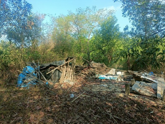 Elephants also demolish a hut to keep the fields of local people Elephants also demolish a hut to keep the fields of local people