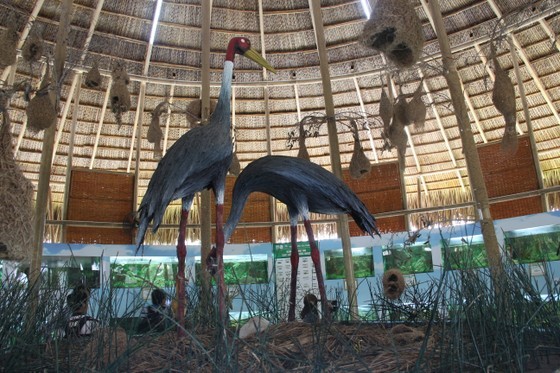 House displaying a model of red-headed crane at Tram Chim National Park House displaying a model of red-headed crane at Tram Chim National Park