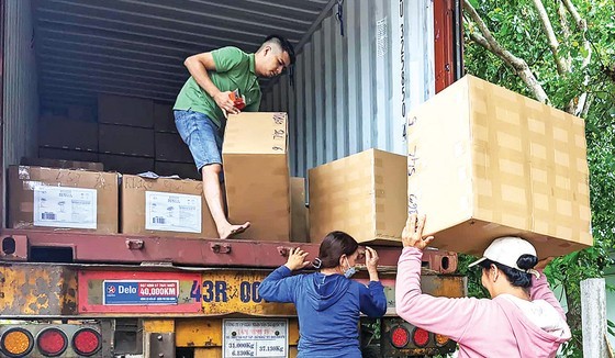 Workers load areca spathe products onto a truck for consumption in the market Workers load areca spathe products onto a truck for consumption in the market