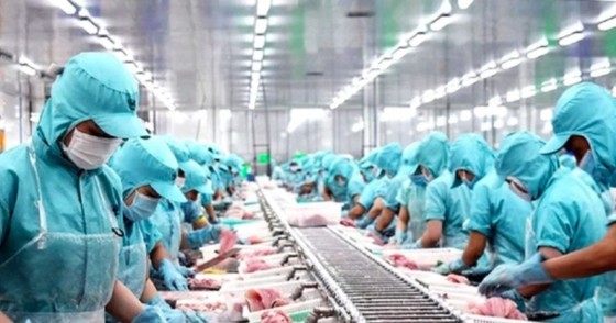 The Prime Minister requests on promoting production and export of forest, aquatic products