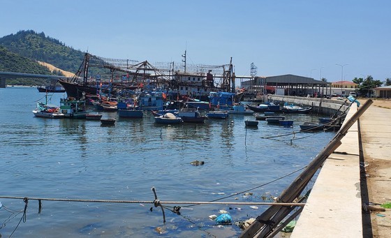 Garbage is floating in Quy Nhon fishing port Garbage is floating in Quy Nhon fishing port