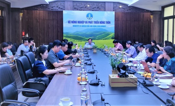 Vietnam to check standards for imported meat 