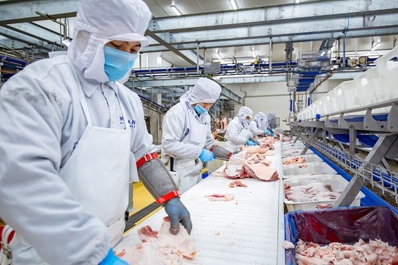 A standard slaughterhouse in Ha Nam Province