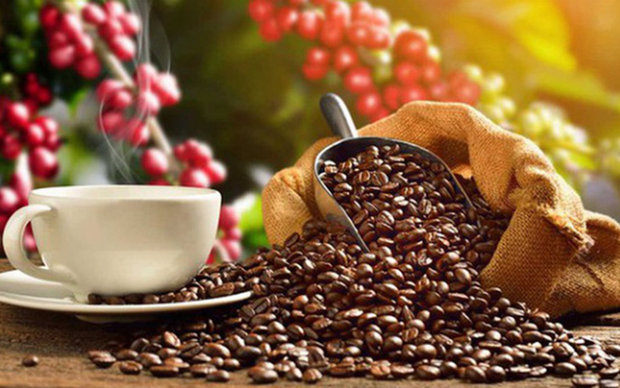 Vietnam’s coffee exports hoped to earn over US$4 billion this year (Photo: vneconomy.com)