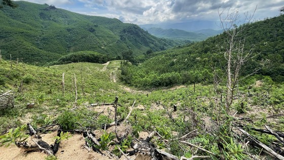 Illustrative photo: SGGP Illustrative photo: SGGP