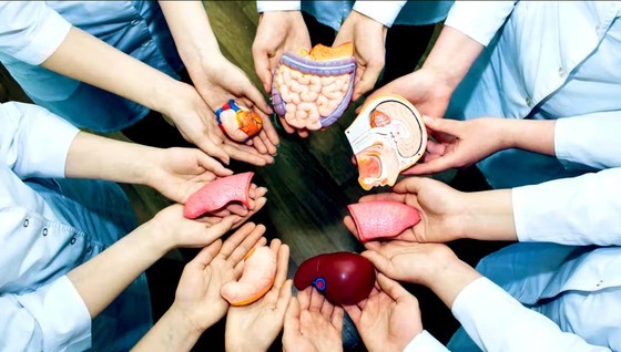 Regulations on organ donation are proposed to be changed