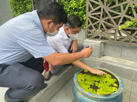 Water in flower pots and containers should be removed Water in flower pots and containers should be removed