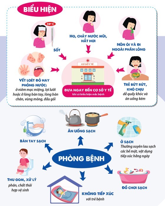 Symptoms of HFMD disease
