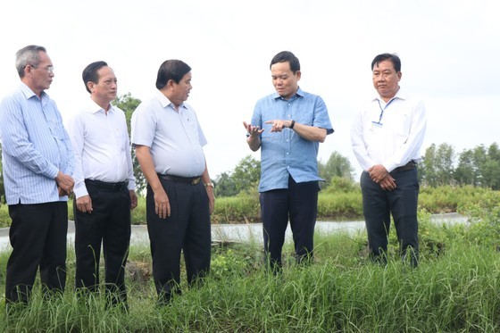 Deputy Prime Minister Tran Luu Quang knows more about rice production in the Mekong Delta Deputy Prime Minister Tran Luu Quang knows more about rice production in the Mekong Delta
