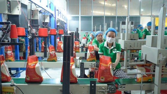 Workers of Trung An High-Tech Agriculture Company are packaging rice