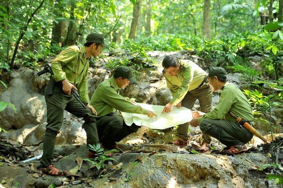 Forest rangers take turns patrolling the forest. Forest rangers take turns patrolling the forest.