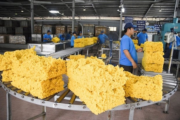 Workers at Viet Lao rubber company (Photo: VNA) Workers at Viet Lao rubber company (Photo: VNA)