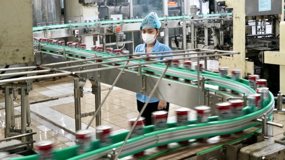 Workers monitor the production line at Tan Quang Minh Manufacturing and Trading Company – BIDRICO in Vinh Loc Industrial Park in Binh Chanh District (Photo: SGGP) Workers monitor the production line at Tan Quang Minh Manufacturing and Trading Company – BIDRICO in Vinh Loc Industrial Park in Binh Chanh District (Photo: SGGP)