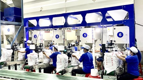 Workers are packing rice for export Workers are packing rice for export