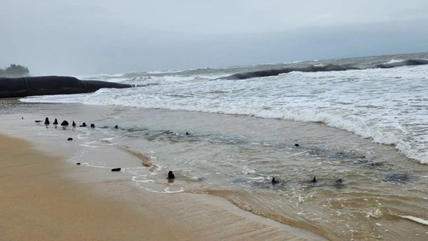 A submerged object, suspected to be an ancient ship, lies close to the coast near Cam An ward, Hoi An city. (Photo: plo.vn) quang-nam-authorities-undertaking-protective-measures-for-suspected-ancient-shipwreck-7968.jpg