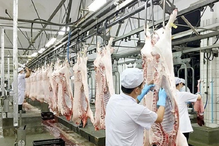 Vietnam strives to achieve livestock product export value of over US$1-1.5 billion by 2025 livestock-5127.jpg