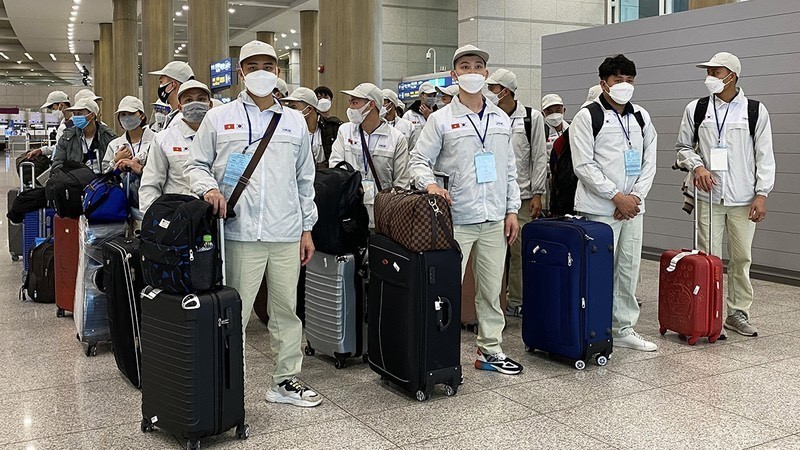 Vietnamese authority works to prevent employment scams for agricultural jobs in Australia z5298615639267-9815d91d7badefa11b57dd65f7dde0bc-6869.jpg.jpg
