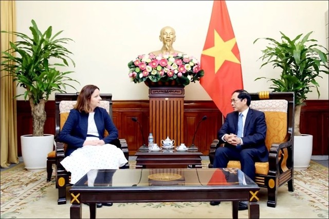 Minister of Foreign Affairs Bui Thanh Son(right) and Anna Krystyna Radwan-Röhrenschef, Undersecretary of State at the Polish Ministry of Foreign Affairs, at a meeting in Hanoi on May 29. Photo courtesy of the Ministry of Foreign Affairs son.png