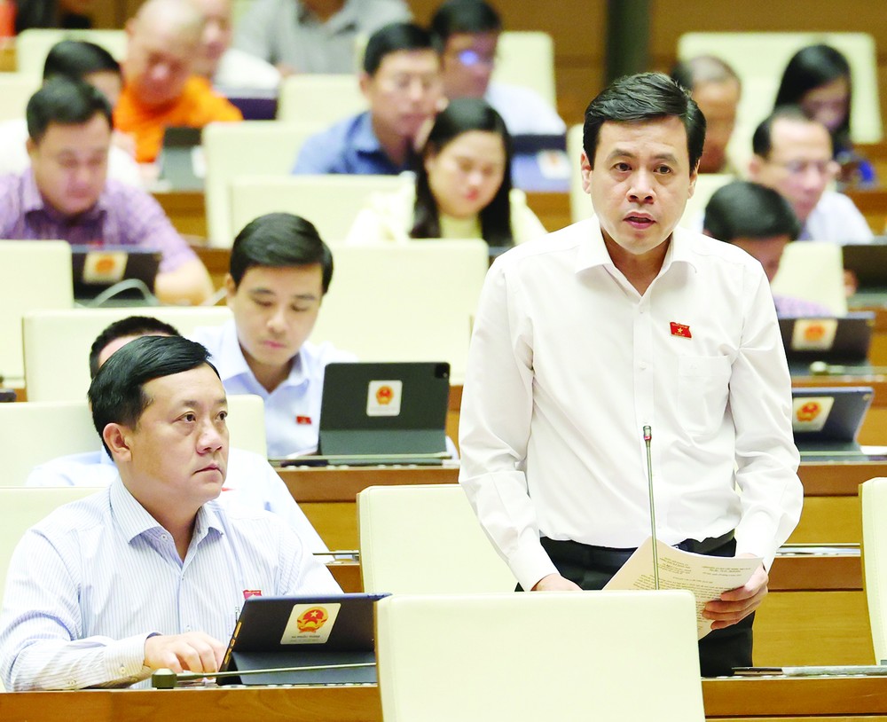 Deputy Tran Anh Tuan from Ho Chi Minh City dai bieu.jpg