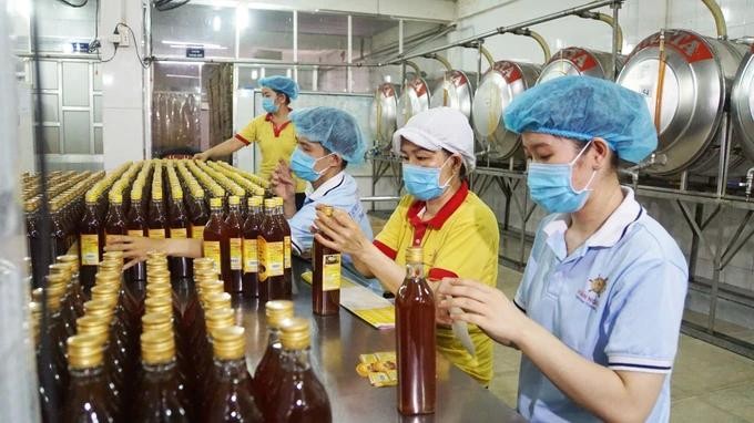 Employess of Xuan Nguyen Company are packing honey for export honey.webp