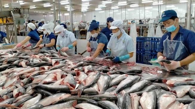 Vietnamese businesses get more orders thanks to good export market shift ảnh 1 fish.webp