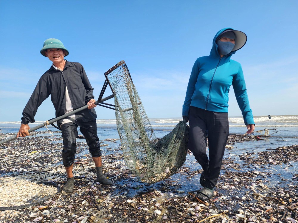 Residents in Thinh Loc Commune and Loc Ha town gather by the shore to hunt for clams which they consider heavenly gift. 1.webp