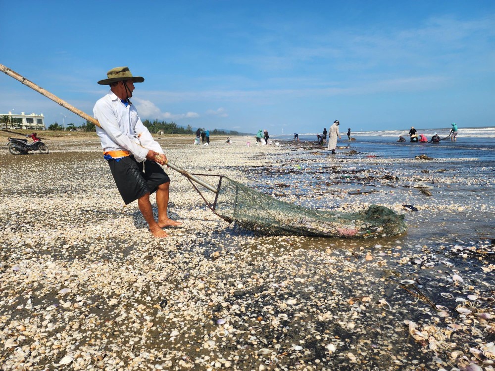 People use nets, baskets, buckets, pots, and sacks to collect an assortment of razor clams, blood cockles, open cockles, and mussels 3.webp