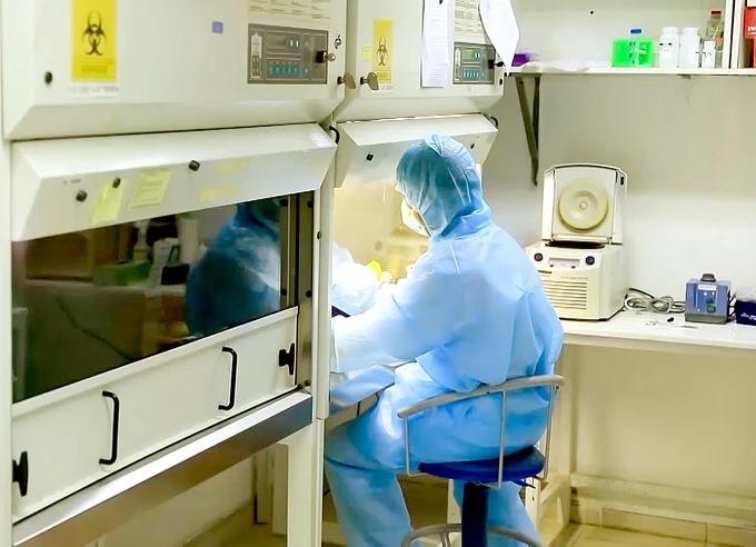 A medical worker of Pasteur Institute conducts studies on new viruses nhan vien pasteur.webp