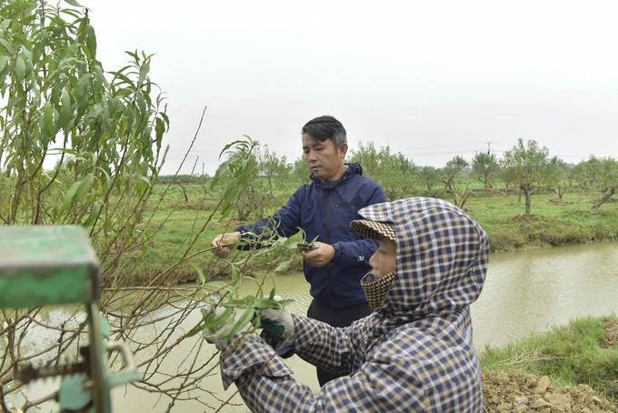 cay canh 3.webp