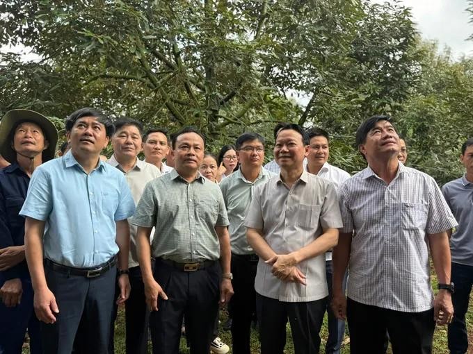 Minister Do Duc Duy visits durian orchards in Krong Pak District bo truong tham vuon sau rieng.jpg