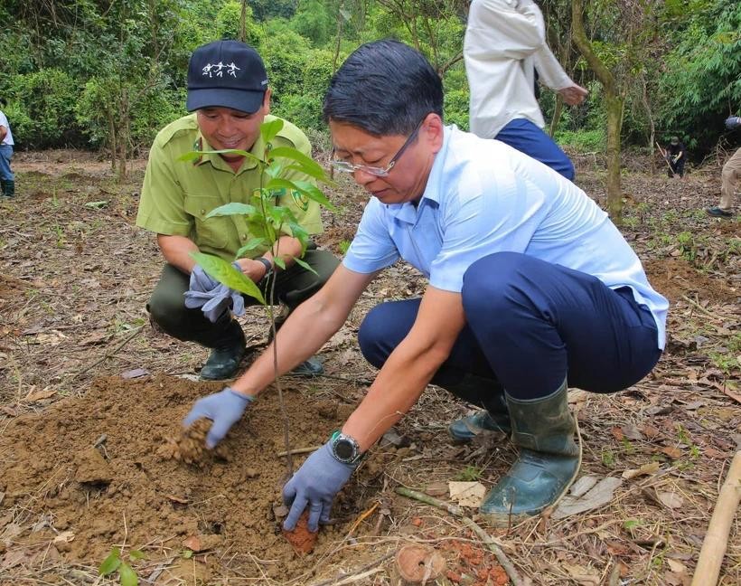 Attendees take part in planting trees at the Cuc Phuong National Park. (Photo: VNA) vna-potal-forestival-2025-rung-viet-nam-gieo-hang-tram-mam-xanh-tai-rung-cuc-phuong-8064180.jpg