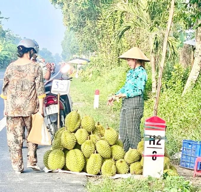 Difficulties in the export market send growers in Hau Giang Province to sell durian on the roadside sau rieng.jpg