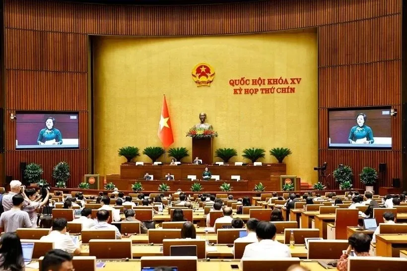 Lawmakers at the 9th session of the 15th National Assembly (Photo: VNA) hien-17497776624311416707374.jpg