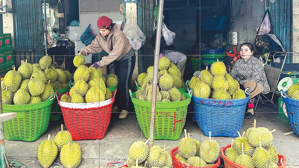People sell durian around Thanh Tri agricultural wholesale market in Dong Thap Province. durian.jpg