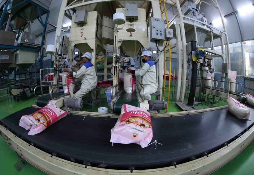 Senegal is a potential market for Vietnamese rice (Photo: VNA) xuat-khau-gao.jpg