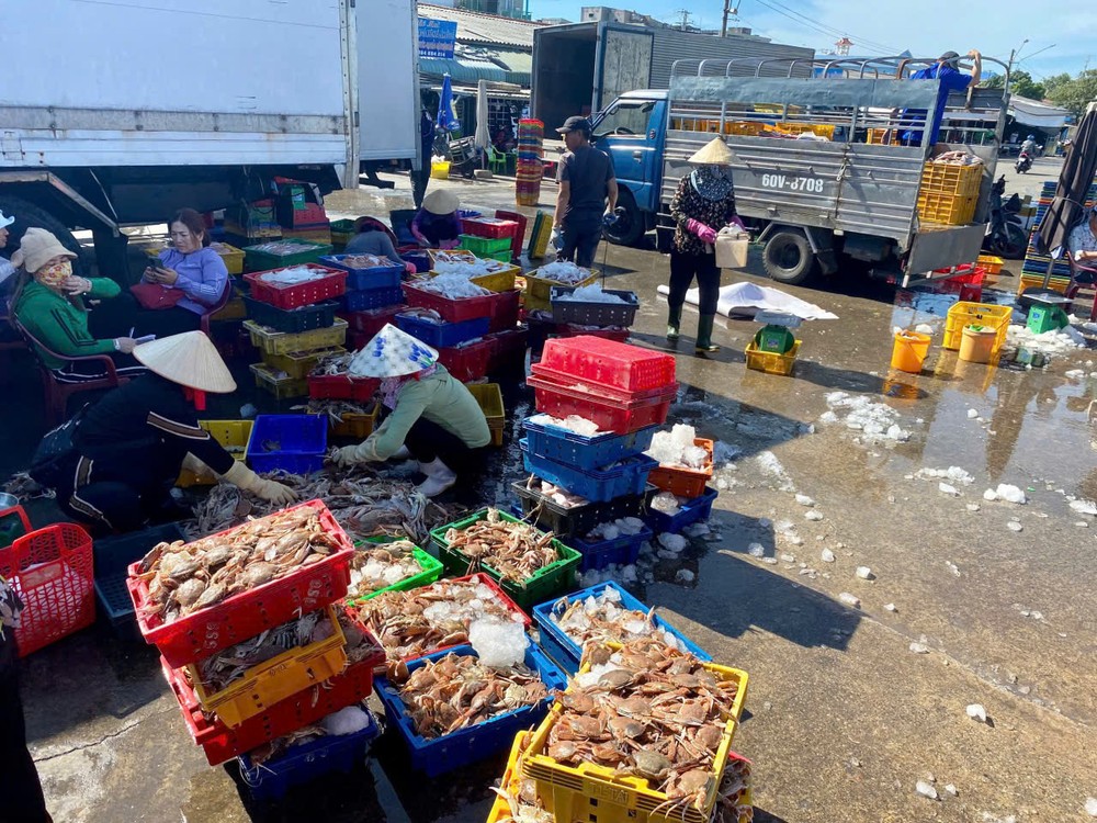 Fishermen from Ho Chi Minh City's Long Hai Commune bring fish, shrimp, crabs, and sea crabs they catch to seafood markets for sale. z6879249373537-5a46212cfd4132ed08187ba3a43a062a-6227-2902.jpg.jpg